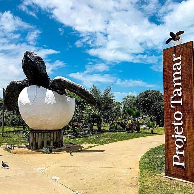 Monumento da tartaruga marinha do Projeto Tamar em Aracaju